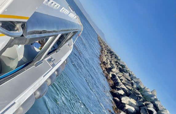 Passeio de barco com fundo de vidro por Long Beach - Foto 4