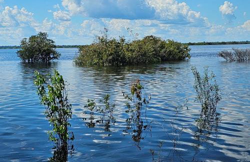 Premium Amazon Jungle Lodge - Foto 49