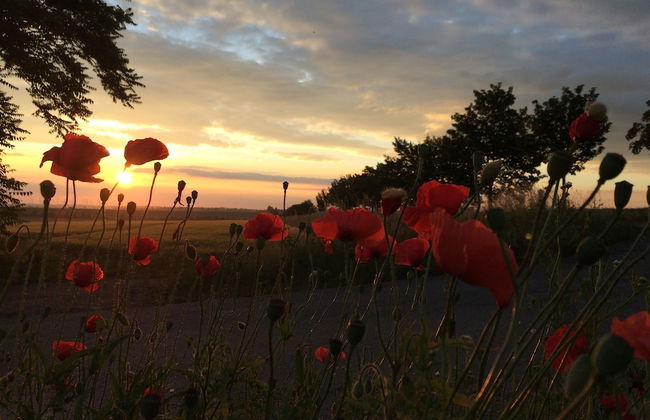 Living in the old Granary - Foto 30