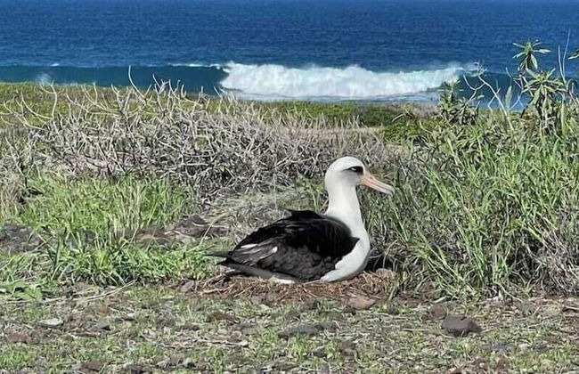 Studio Nene by AvantStay | Chic, Cozy, King Bed - Foto 6