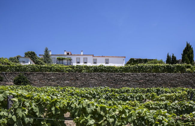 Casa de Casal de Loivos - Photo 51