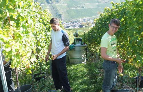 Claes Weinquartier - Appartements & Wein by Niko Schmitt - Foto 18