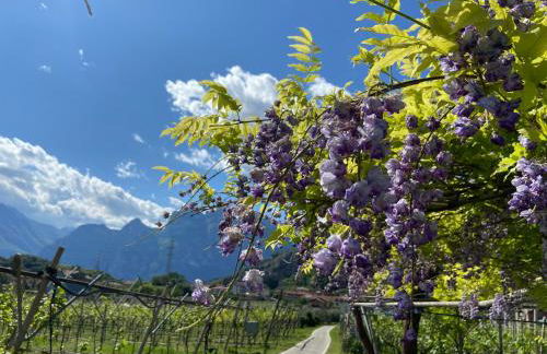 GARDA BALDO APARTMENTS - Photo 16