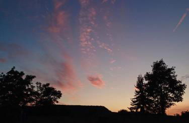 Ferienwohnung Neli am Rhein - Foto 6