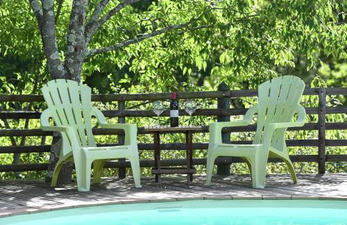 Holiday Home in Ardèche with Pool - Foto 40