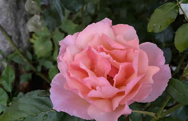 VISITAR BIOUCAS I - Casa Inteira Familiar e Grupo de Amigos - Foto 47