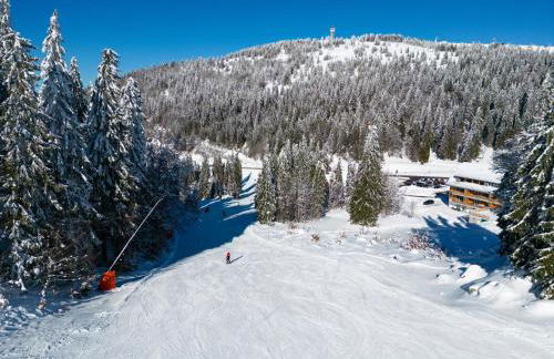 Haus Wiesenquelle, Deluxe-Apartment 'Feld & Berg' - Foto 23