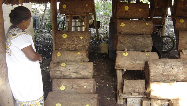 El yacimiento arqueológico de Edzná y taller de miel - Foto 2