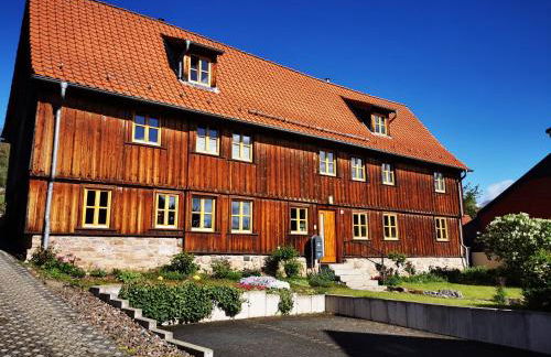 "Heckenrose" - Foto 6