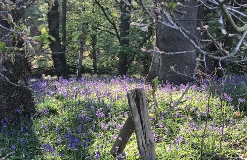 Riding Farm Cottages - Foto 68