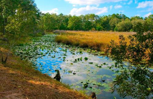 Rustic Cabin on a Ranch near the Ocala National Forest in Central Florida - Foto 15