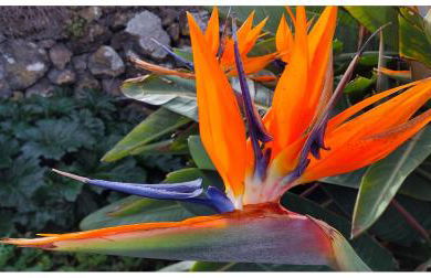 Casa Tío Pedro Martín - Foto 20