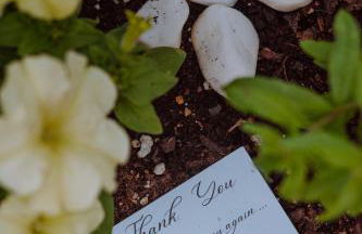 Elounda Τheros - Foto 73