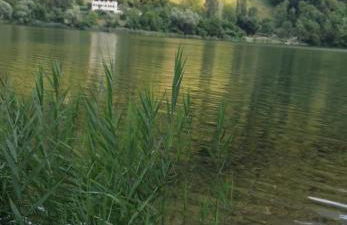 CasaEndine - Foto 14