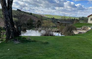 Pant yr onen holidays - Photo 55