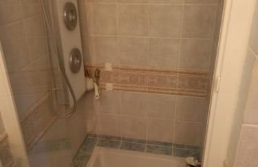 le héron cendré - Foto 20