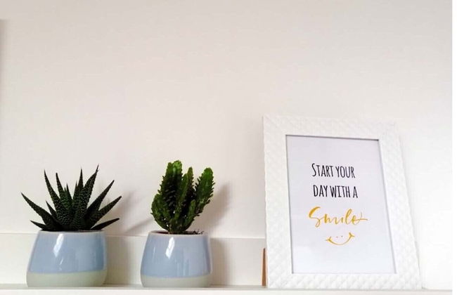 La Belle Vigne - Namur - Foto 26