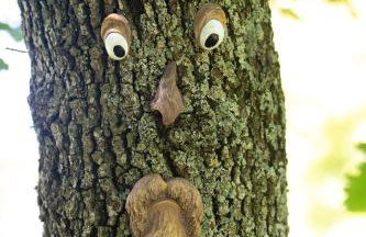 Palmira Apartments - Foto 60