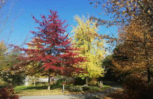 Ferienwohnung Familie Günther Warmbad - Foto 22