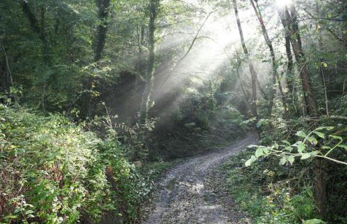 Agriturismo Le Selve - Foto 36