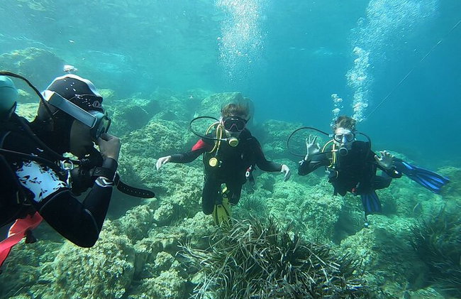 Bautismo de mar: Buceo en la isla de Elba". - Foto 5