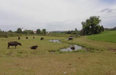 Ferienwohnung Leutkirch offen hell hoch schöne Aussicht - Foto 18
