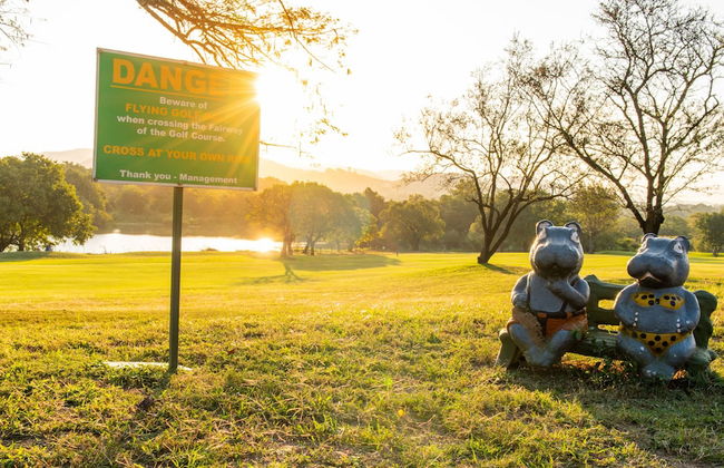 Kruger Park Lodge Unit No. 441 - Photo 37