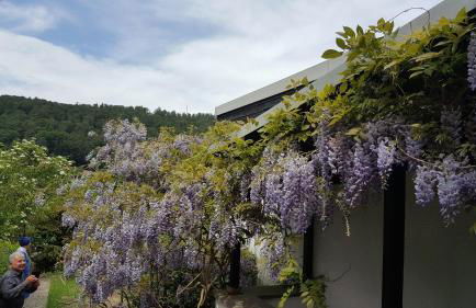 Idyllische Wohnung mitten in der Natur „ Haus Magnolia „ - Foto 29