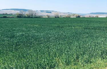 Logement B / Clos des Saunières - Foto 45