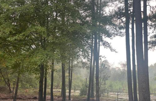 Secluded Retreat with Pool near Stone Mountain, Aquarium and Coca-Cola - Downtown - Foto 52