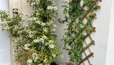 Détours en Provence - Lavande 3* - Foto 5