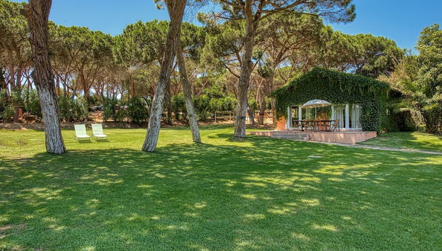 Quinta da Bicuda - Foto 2, Imagem principal