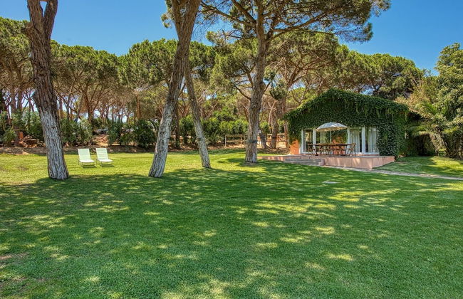 Quinta da Bicuda - Photo 1