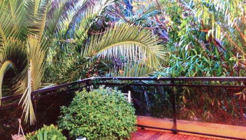 Cannes Eden résidence de luxe piscine tennis - Foto 4