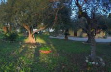 Bouganville in Villa Greco - Foto 48