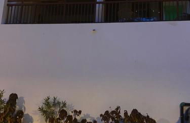 El Bohemia - Foto 27