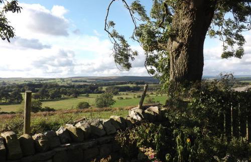 Hillis Close Farm Cottage - Foto 48