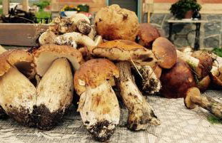 Miła Dolina - Foto 42