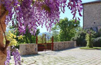 Castello di Viano - Foto 45