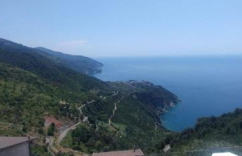 Rosmarino, Cinque Terre - Foto 27