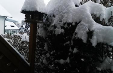 Fewo Kuhlmann - Foto 15