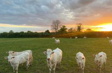 Ferme de Riou - Foto 17
