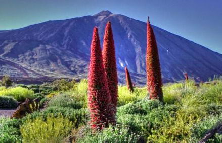 NEW TURQUESA Centro Sta Cruz, wifi&gym - Foto 24