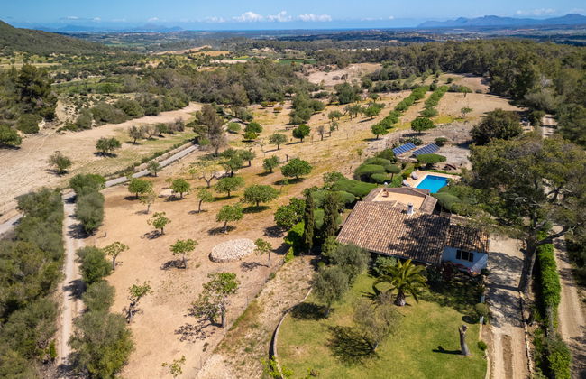 Sant Joan - Photo 29