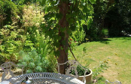 Cherry Garden Cottage - Foto 41