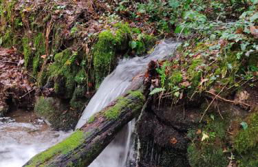 O Campo DaFolla - Foto 33