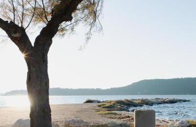 Au bord de la digue - Foto 10