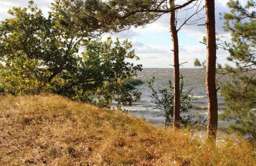 Ferienwohnung SEA - Foto 13