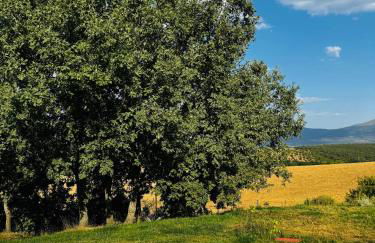 Casa Rural Teja Vieja - Foto 14