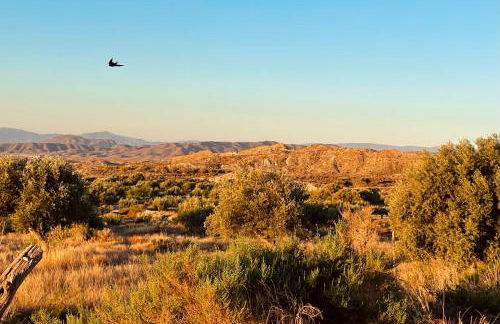El sueño de Andalucia - Foto 42